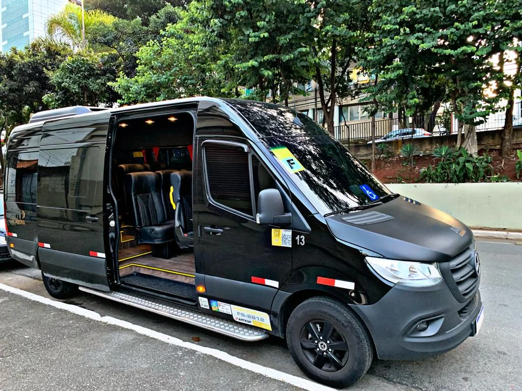 Mercedes-Benz Sprinter Executiva 18 Lugares - Imagem 3